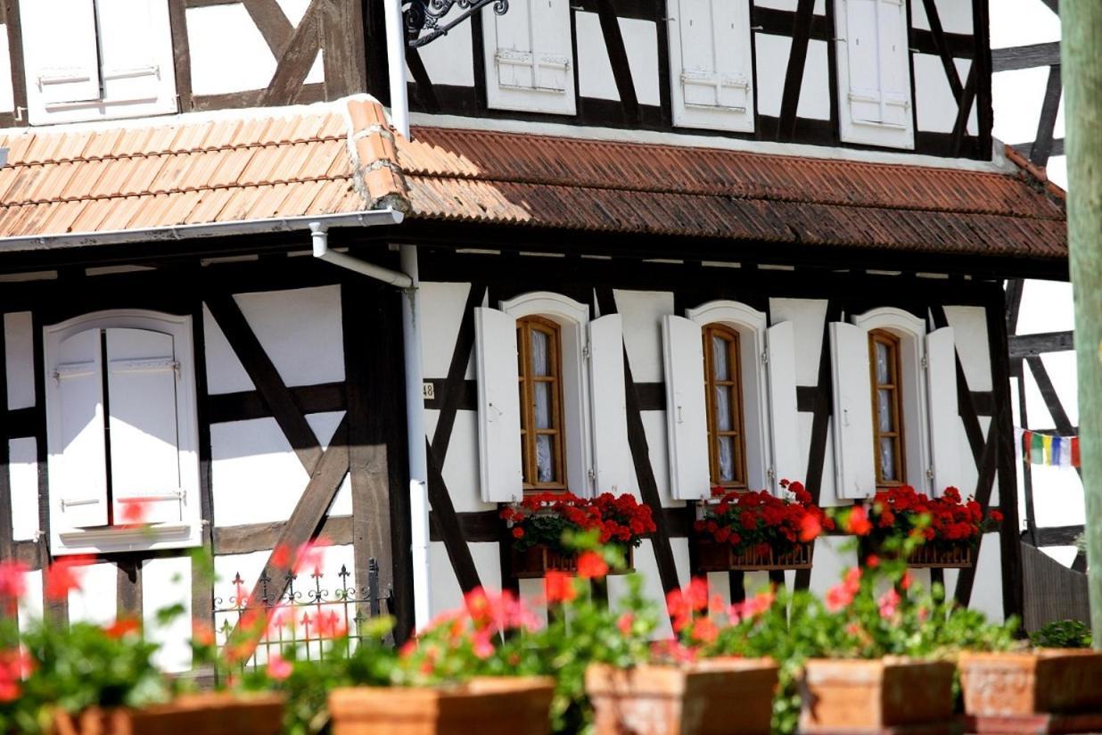 Gites Et Chambres D'Hotes Maison Ungerer Hunspach Esterno foto