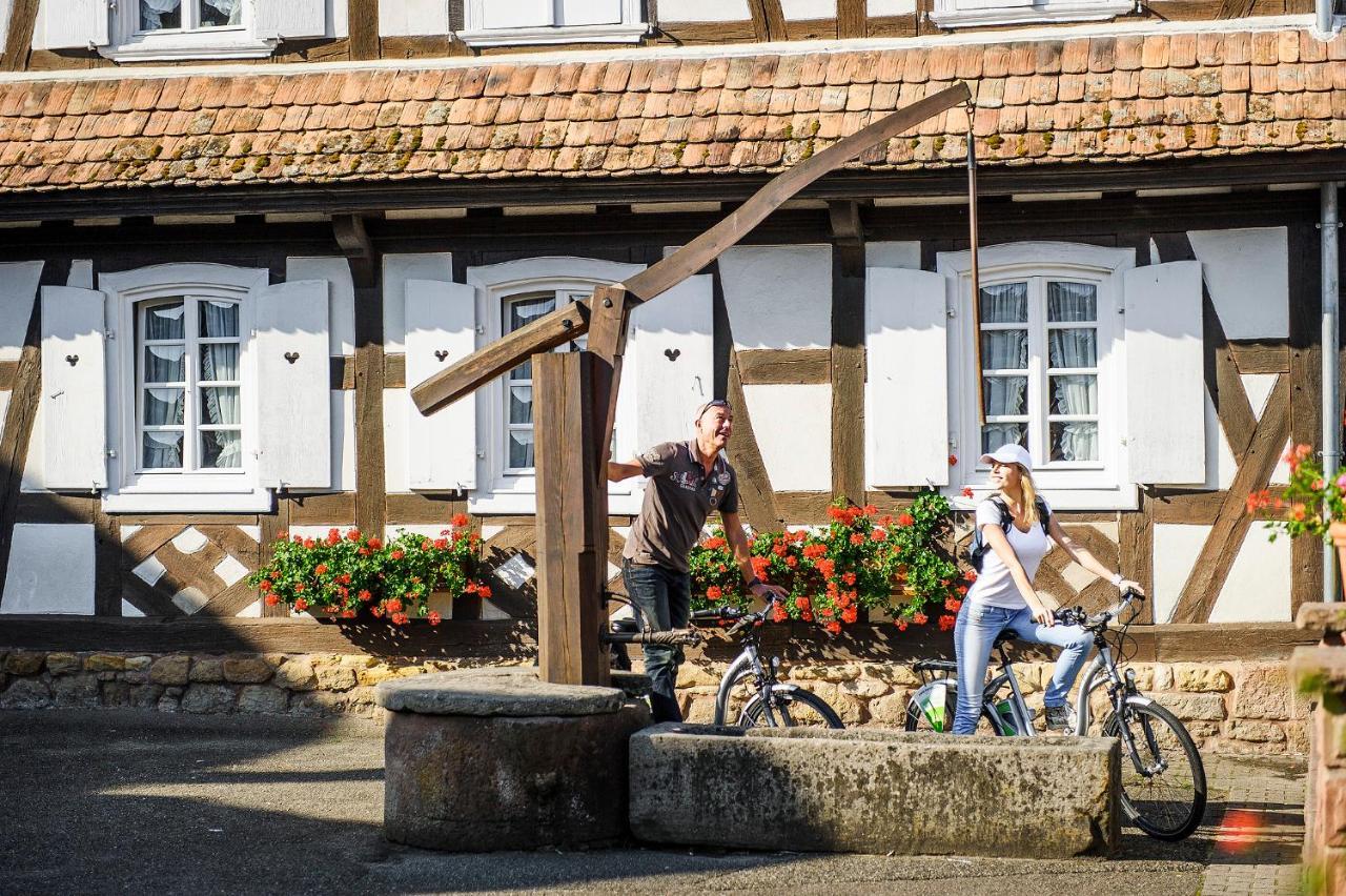 Gites Et Chambres D'Hotes Maison Ungerer Hunspach Esterno foto