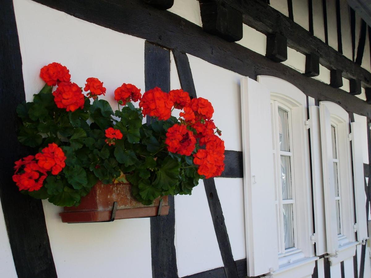 Gites Et Chambres D'Hotes Maison Ungerer Hunspach Esterno foto