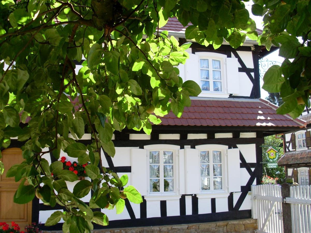 Gites Et Chambres D'Hotes Maison Ungerer Hunspach Esterno foto