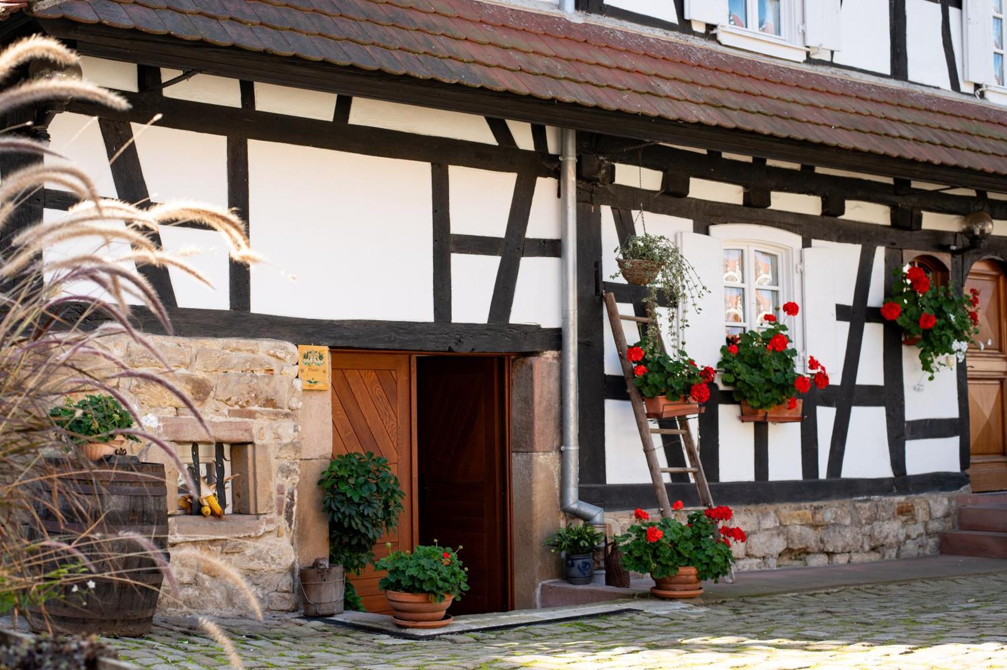 Gites Et Chambres D'Hotes Maison Ungerer Hunspach Esterno foto